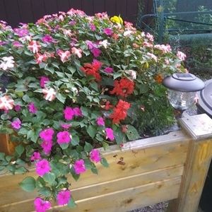 Meet your Posher, Cheryl